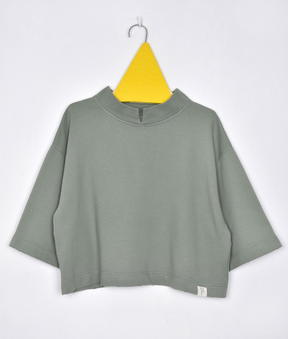 Top Crop Turtleneck