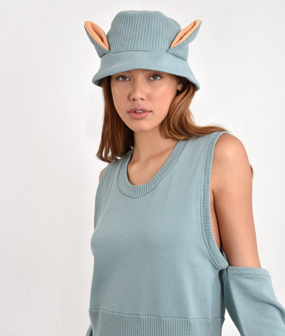 Hat With Donkey Ears