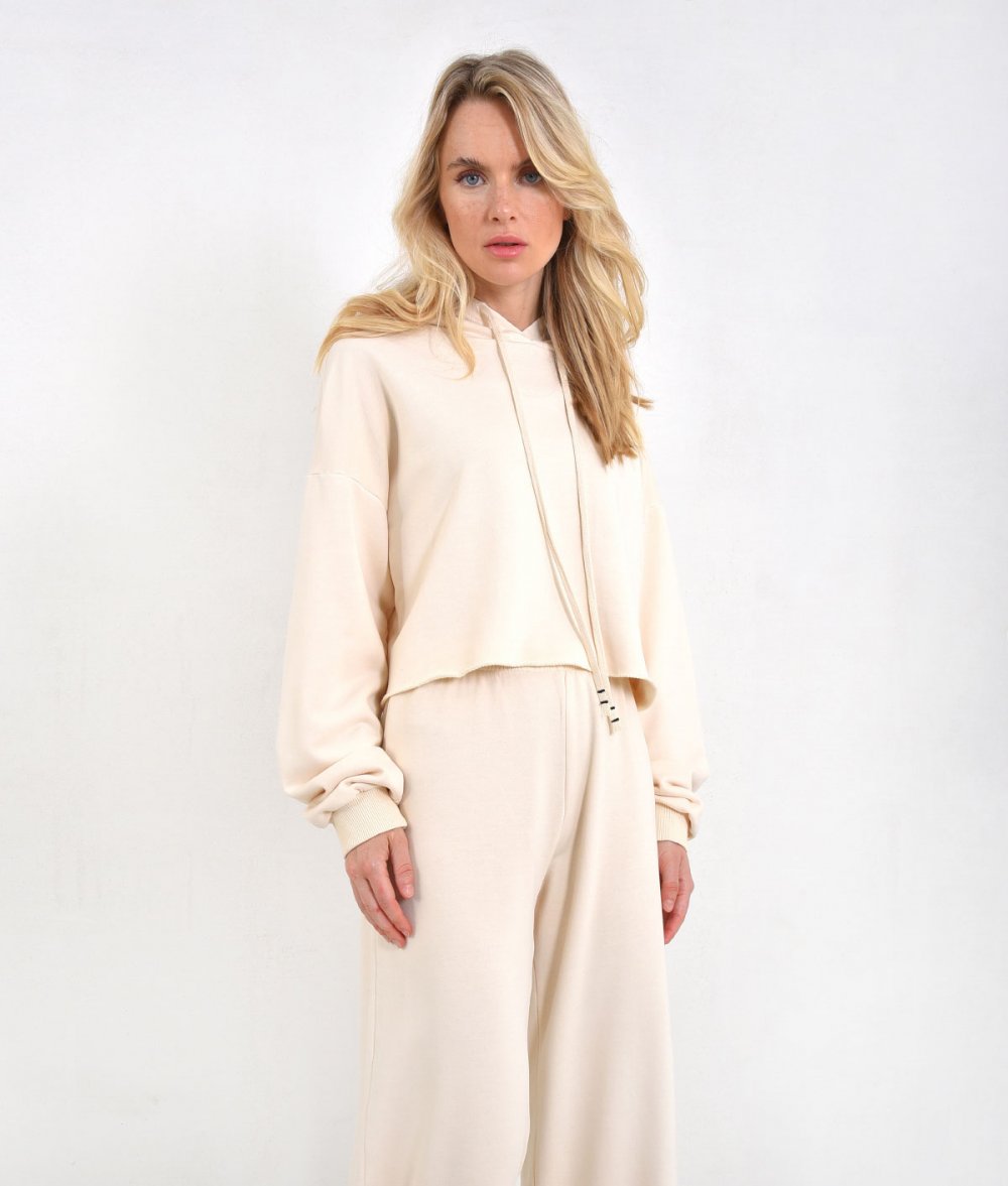 Crop Blouse With Hoodie